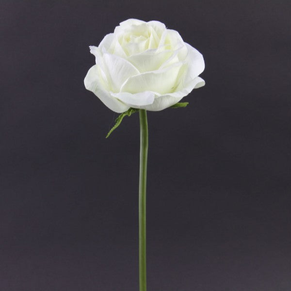 19"ROSE SPRAY WHITE