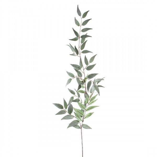 36"ITALIAN RUSCUS LEAF SPRAY
