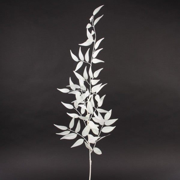36"ITALIAN RUSCUS LEAF SPRAY