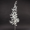 36"ITALIAN RUSCUS LEAF SPRAY