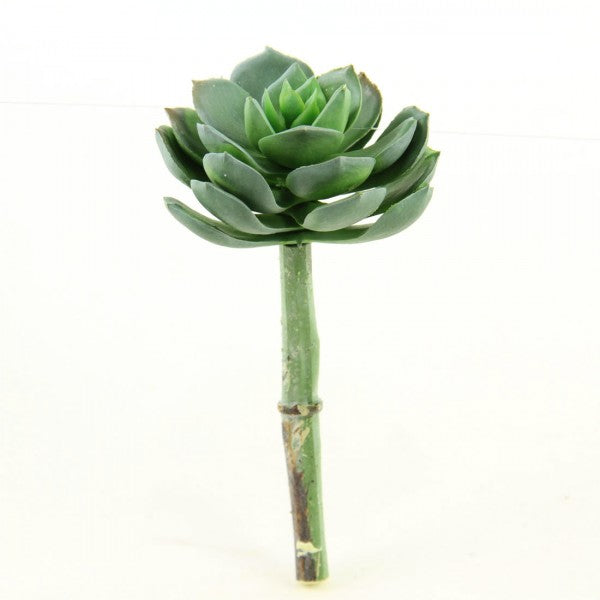 5"X2.5"D S/P ECHEVERIA PICK