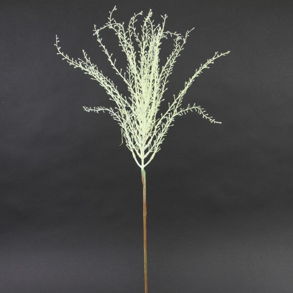 36"VINE SPRAY CREAM