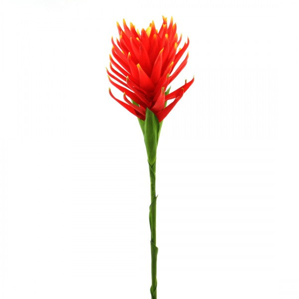 36"PROTEA SPRAY RED/ORANGE