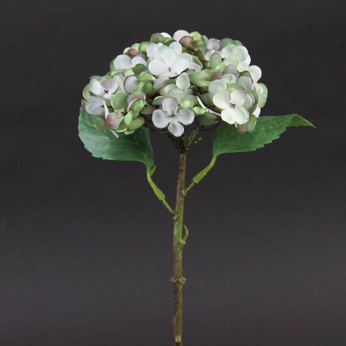 13.5"HYDRANGEA ANT.GREEN