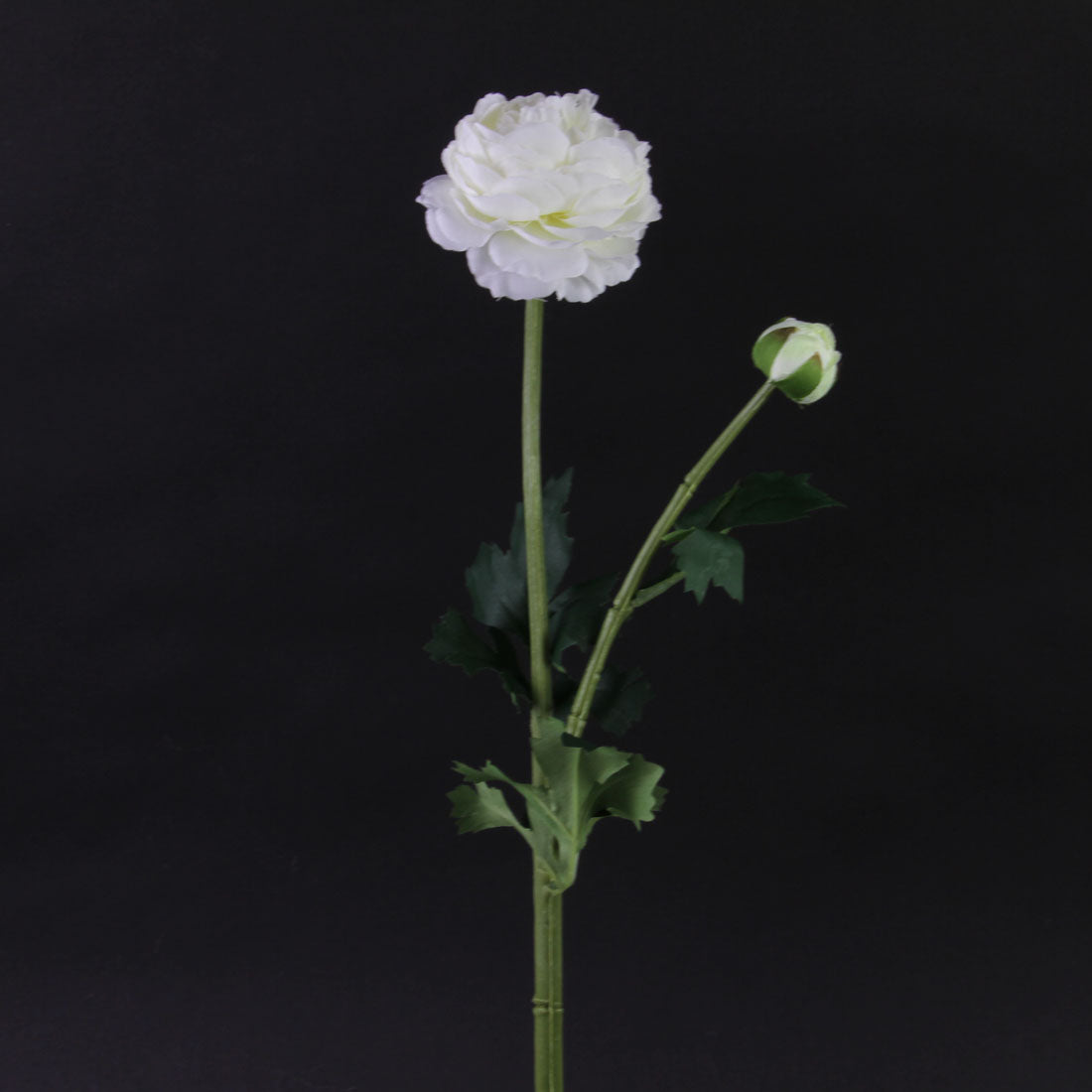 18.9"RANUNCULUS SPRAY WHITE