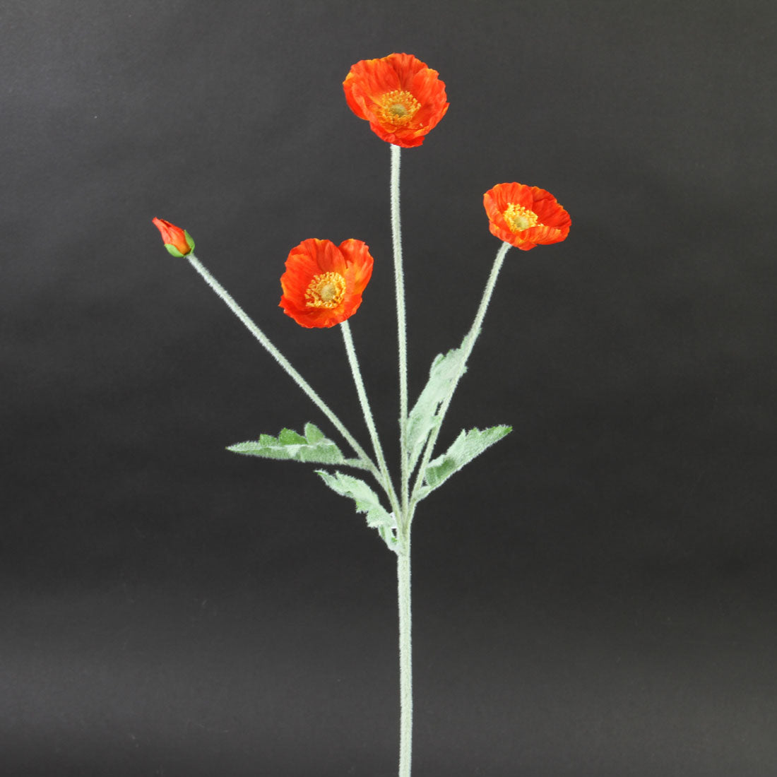 23.6"POPPY SPRAY FLAME