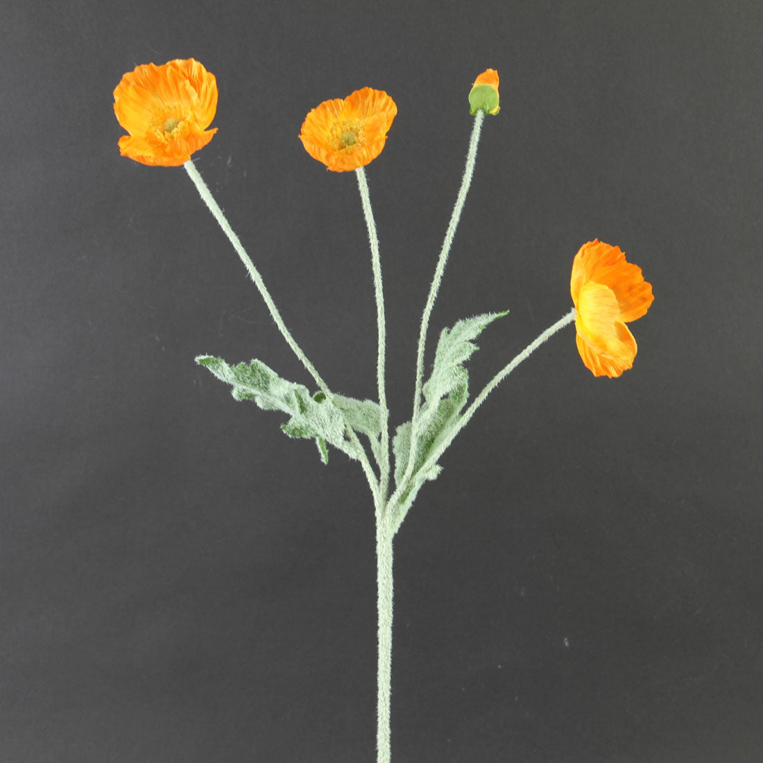 23.6"POPPY SPRAY ORANGE