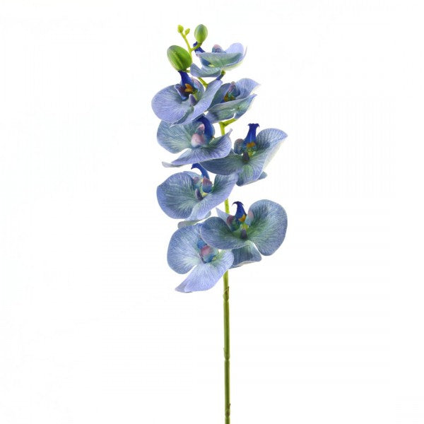 28"PHALAENOPSIS SPRAY