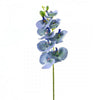 28"PHALAENOPSIS SPRAY