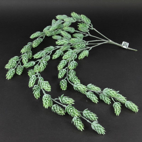 30'HOPS HANGING BUSH X5
