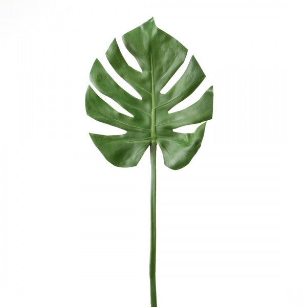 29"MONSTERA LEAF SPRAY GRN