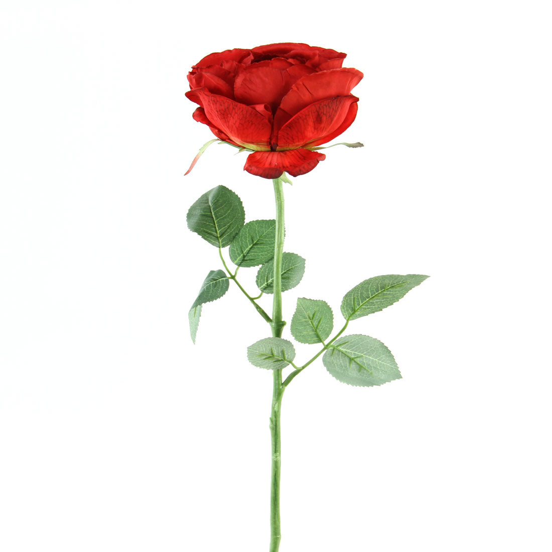 23"GARDEN CABB.ROSE SPRAY RED
