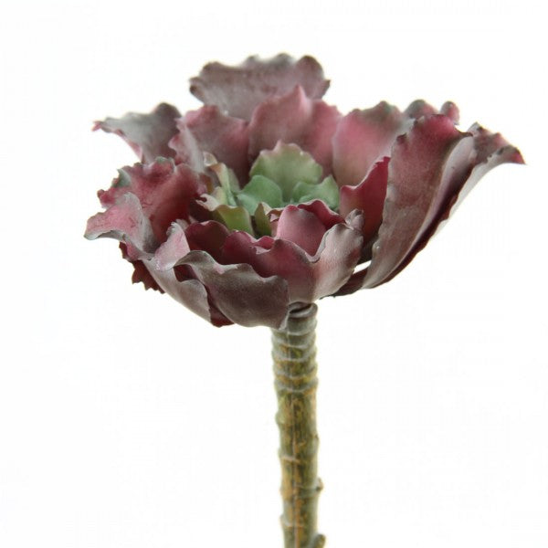4.5"RUFFLE SEDUM SPRAY