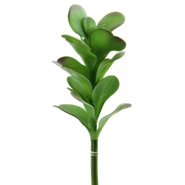 8.5" KALANCHOE PICK GREEN