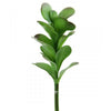 8.5" KALANCHOE PICK GREEN