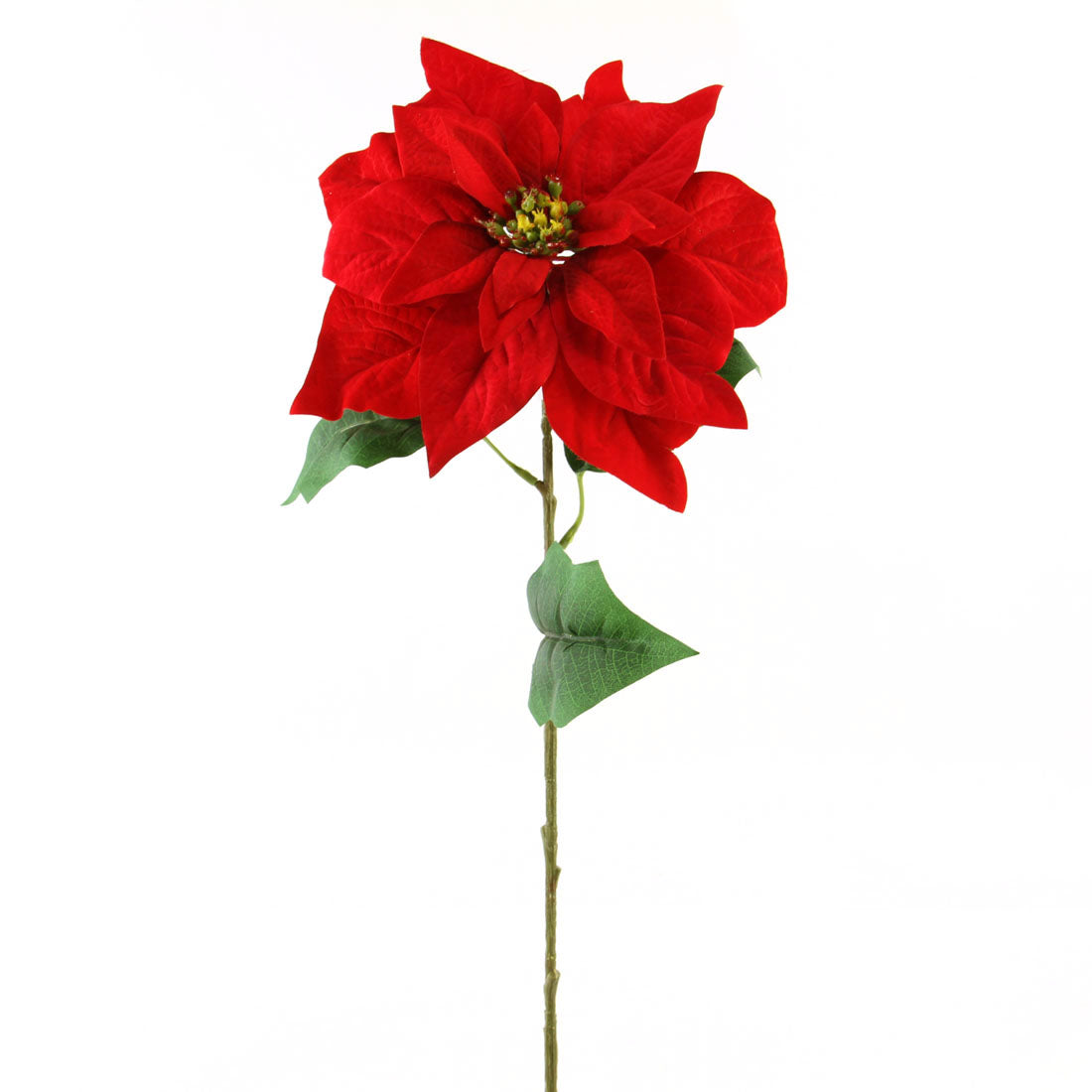 28"VELVET POINSETTIA SPRY RED