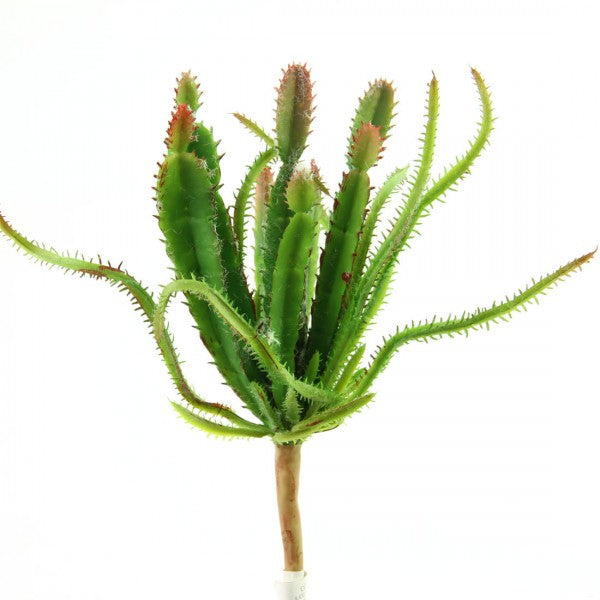 9.4"CACTUS PICK GRN/BURG