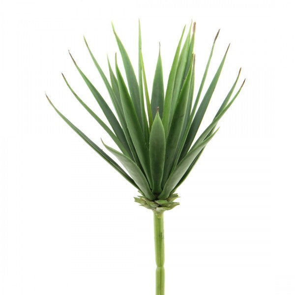 7.5"ALOE PICK GREEN