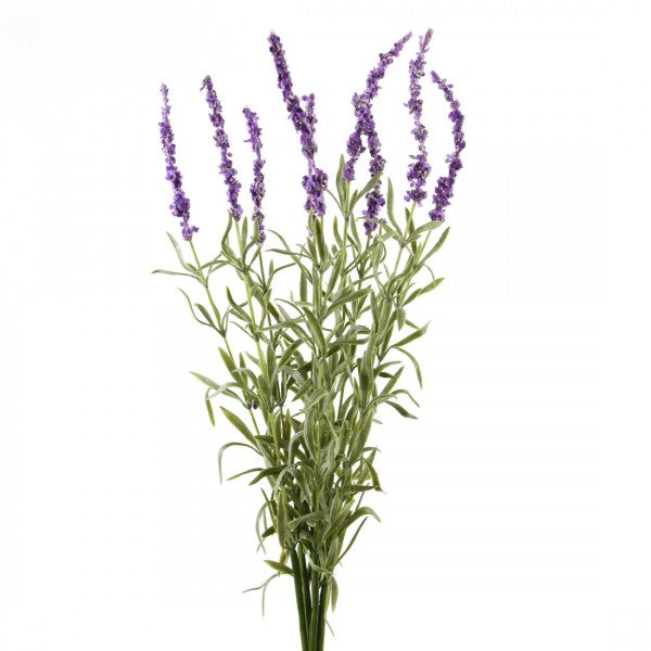 25"LAVENDER BUNDLE