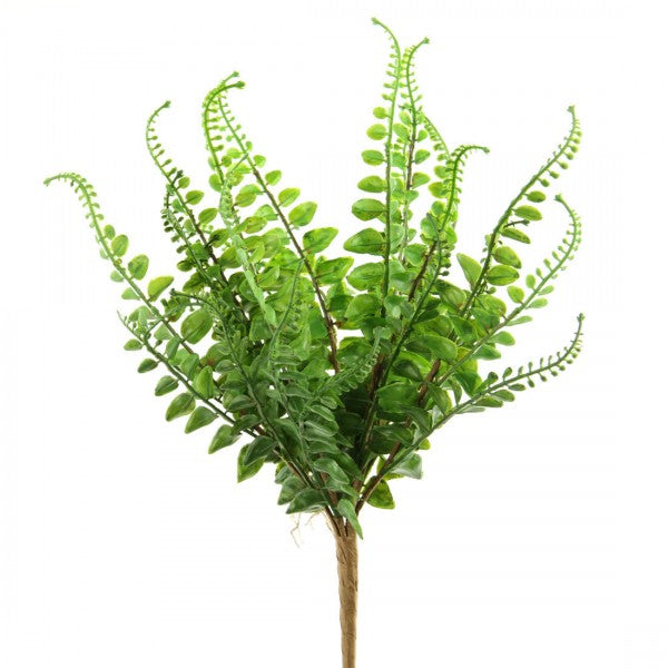 16"BUTTON FERN BUSH GREEN