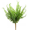 16"BUTTON FERN BUSH GREEN