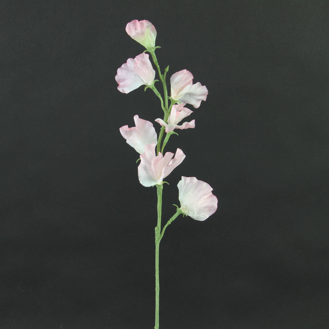 22"SWEET PEA PINK