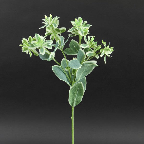 18.5"EUPHORBIA SPRAY VARIEG.