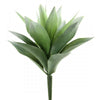 11" AGAVE PLANT