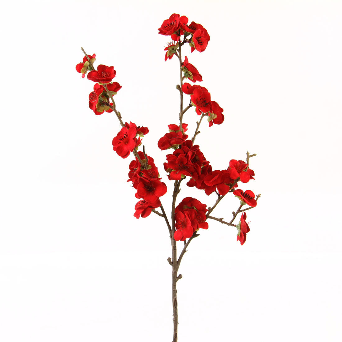 18"VELVET PLUM BLOSSOM SPRAY