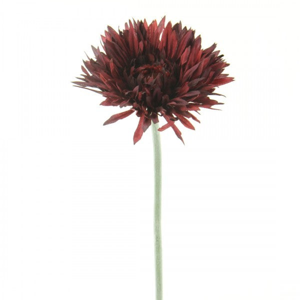 24"GERBERA DAISY SPRAY A4