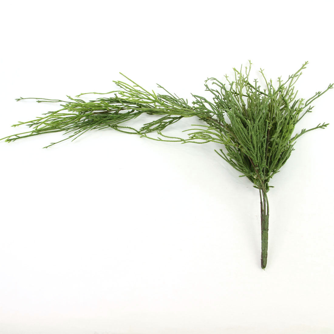 29.5"CLUB MOSS FERN HANG.BUSH