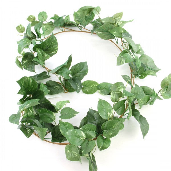 6'PUFF POTHOS GARLAND GREEN