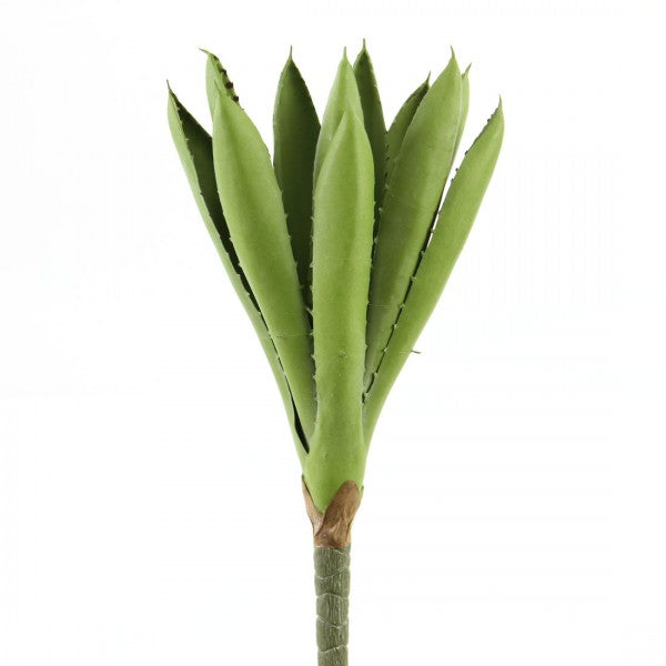 11.5" AGAVE PICK GRAY/GREEN