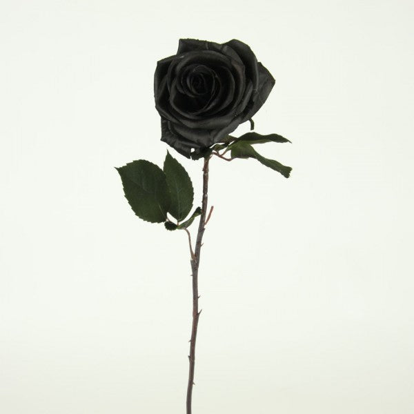 21.5"BLACK MAGIC ROSE SPRAY