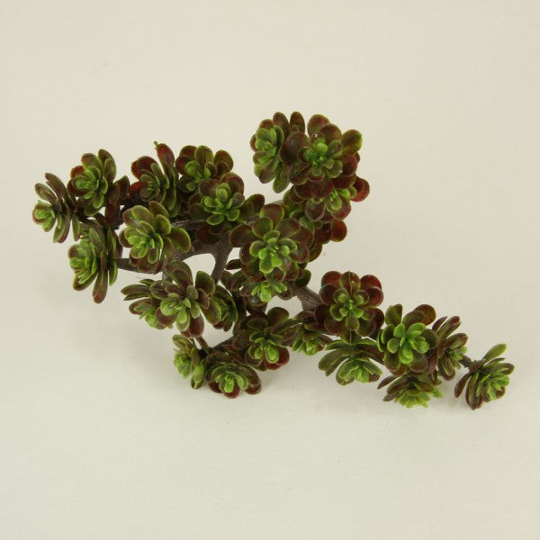 5"SEDUM PICK 30L GREEN/BURGUND