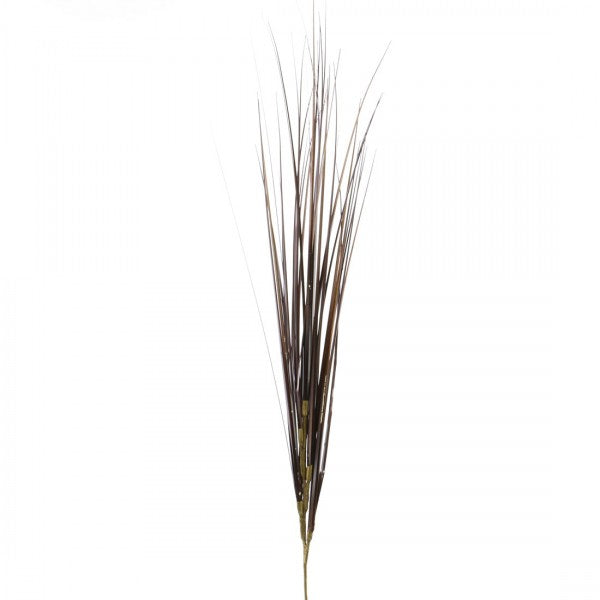 31"ONION GRASS SPRAY X5 A25