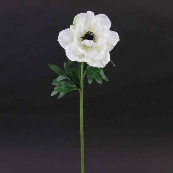 20"ANEMONE SPRAY WHITE/BLACK