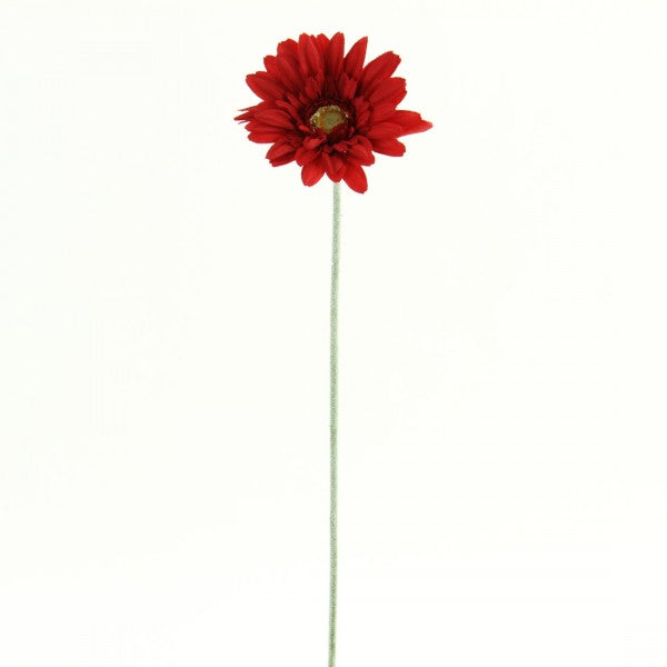 22.5"ROYAL GERBERA DAISY B2