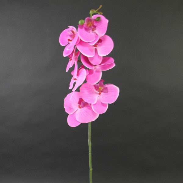33"PHALAENOPSIS ORCHID SPRAY