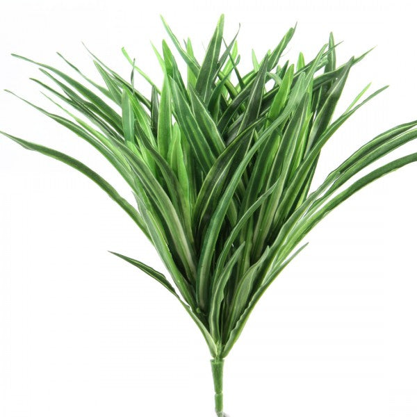 12"SM.DRACAENA BUSH GREEN