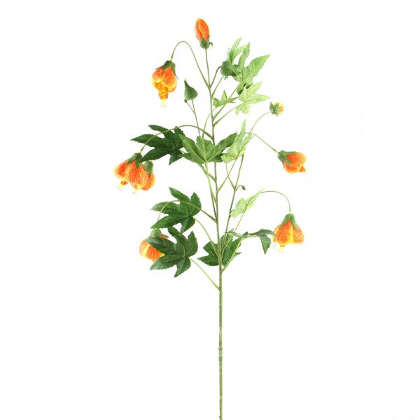 38.5" ABUTILON SPRAY ORANGE