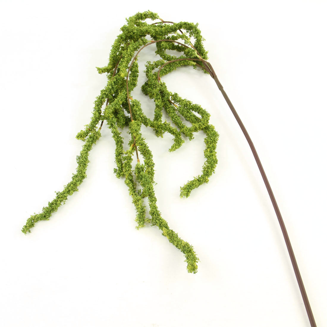 49.25"AMARANTHUS HANG.SPRAY
