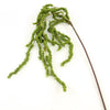 49.25"AMARANTHUS HANG.SPRAY