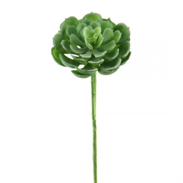 9.5"HEN & CHICK BOUQUET PICK