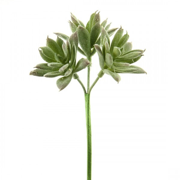 10"SEDUM BOUQUET PICK X3