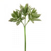 10"SEDUM BOUQUET PICK X3