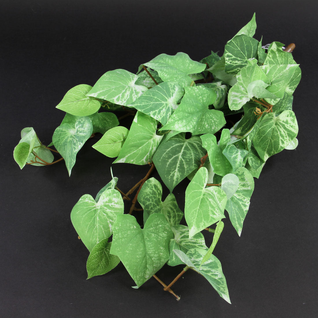 28"POTATO LEAF HANG.BUSH