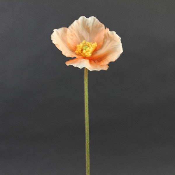 23"POPPY SPRAY SALMON
