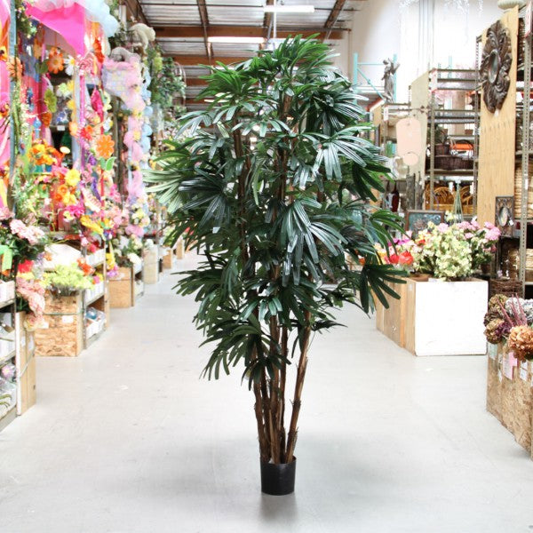 7' RHAPIS TREE X6 TT.GREEN