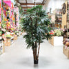 7' RHAPIS TREE X6 TT.GREEN